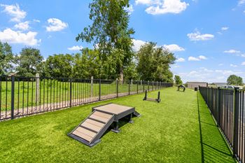 Dog park with agility equipment & synthetic grass